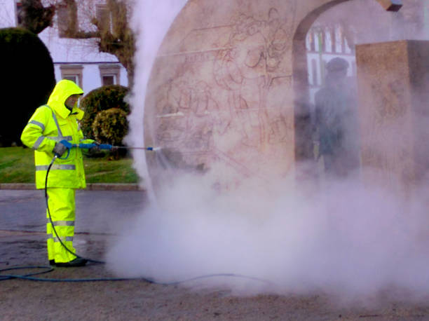 Best Concrete Pressure Washing  in Johnstonville, CA